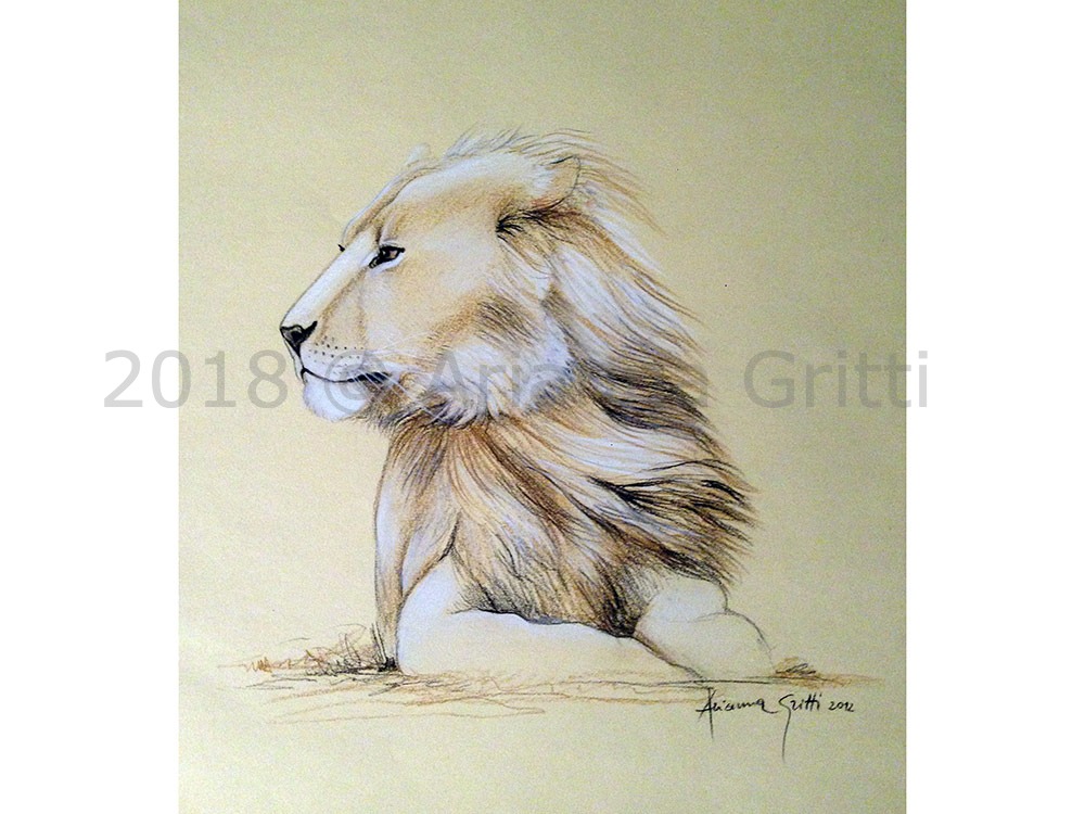 Arianna Gritti - Studi e schizzi