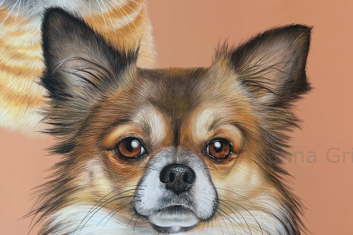 Arianna Gritti - Ritratti di Animali